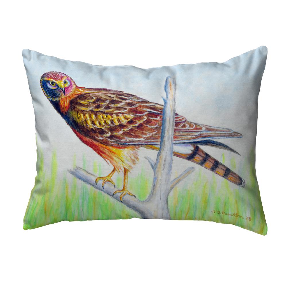 Marsh Hawk Noncorded Indoor/Outdoor Pillow 16x20. Picture 1