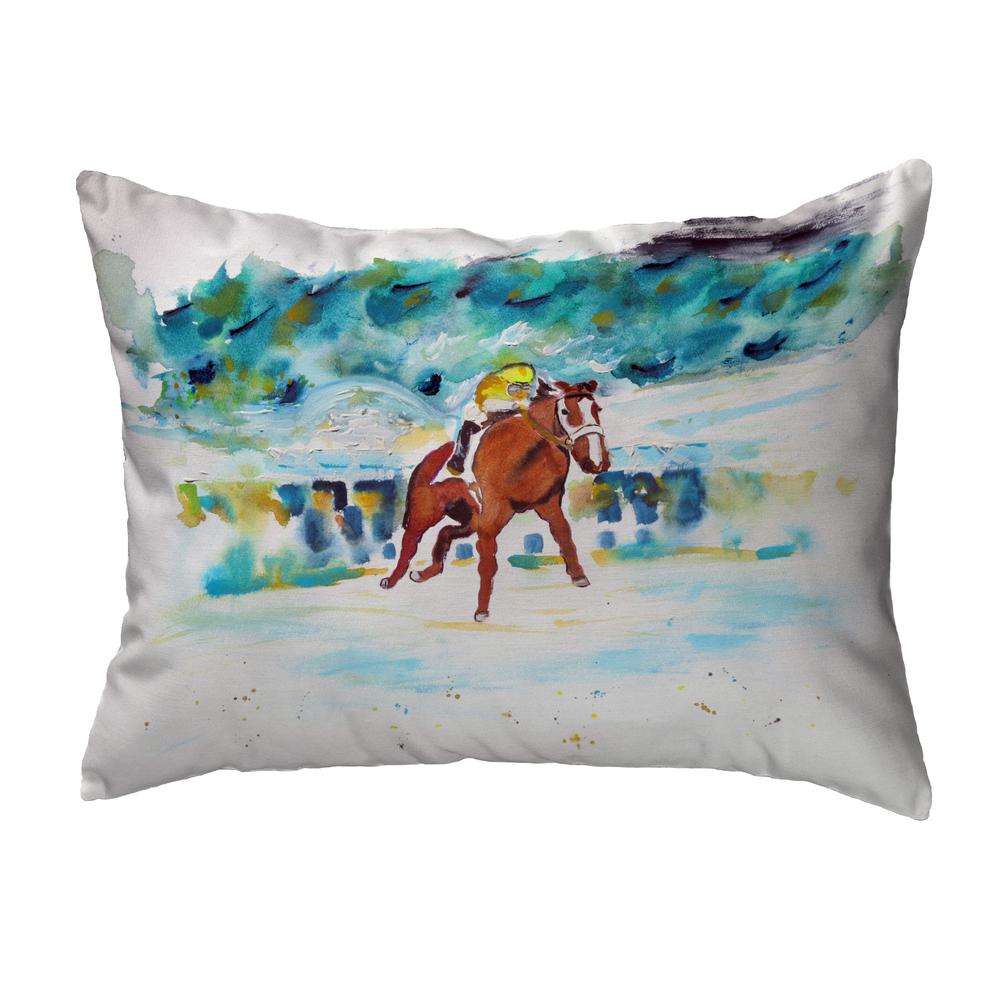 Fast Start Noncorded Indoor/Outdoor Pillow 16x20. Picture 1