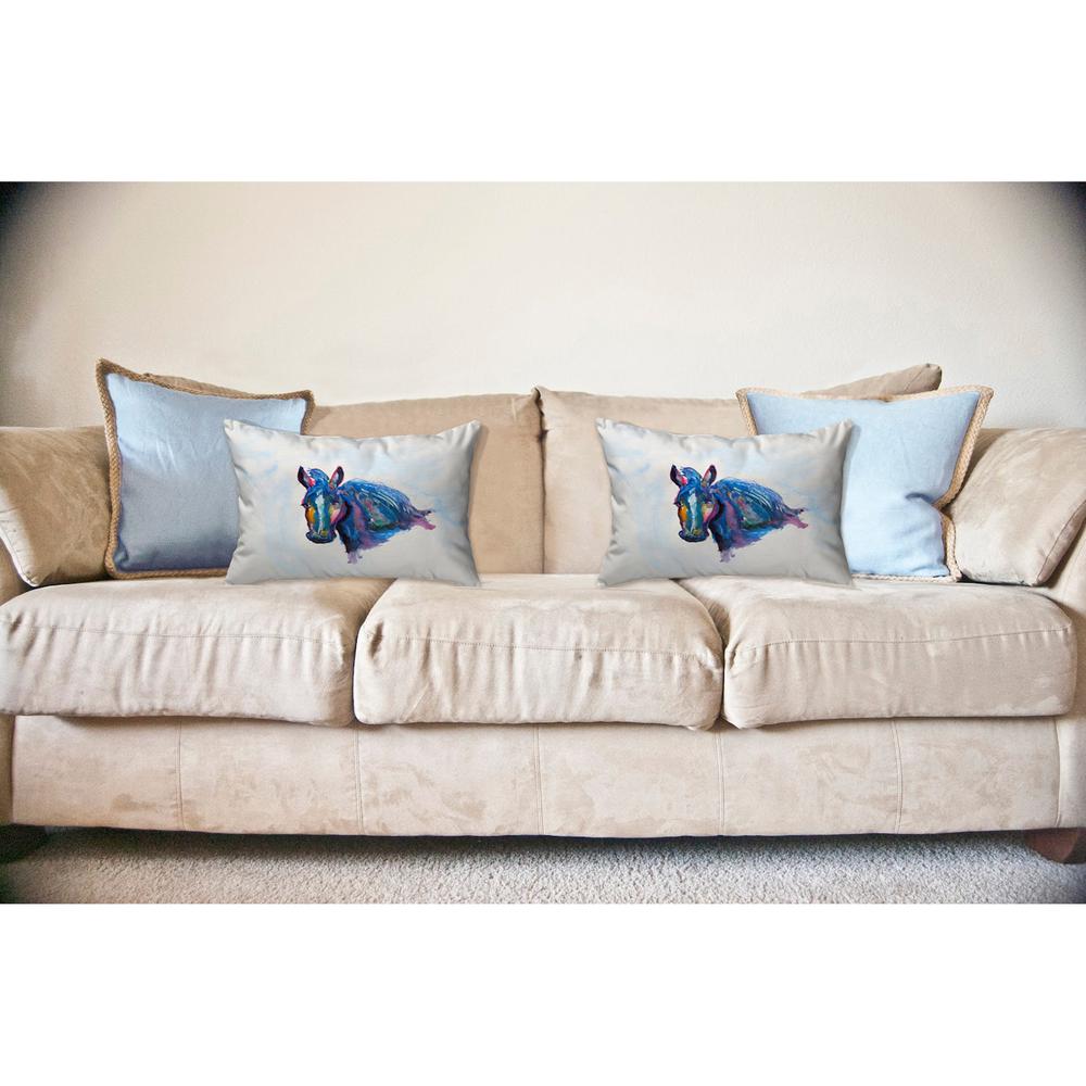 Old Mare Noncorded Indoor/Outdoor Pillow 16x20. Picture 2