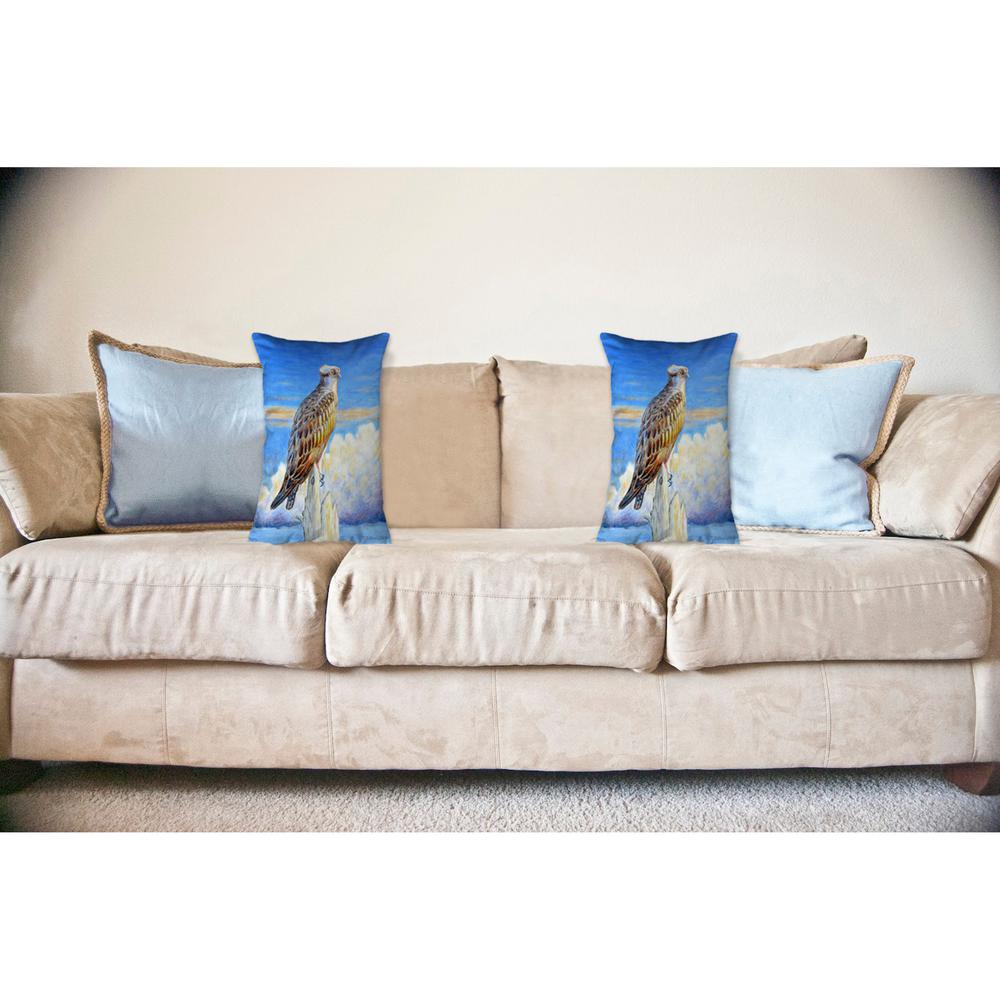 Osprey Storm No Cord Pillow 16x20. Picture 2