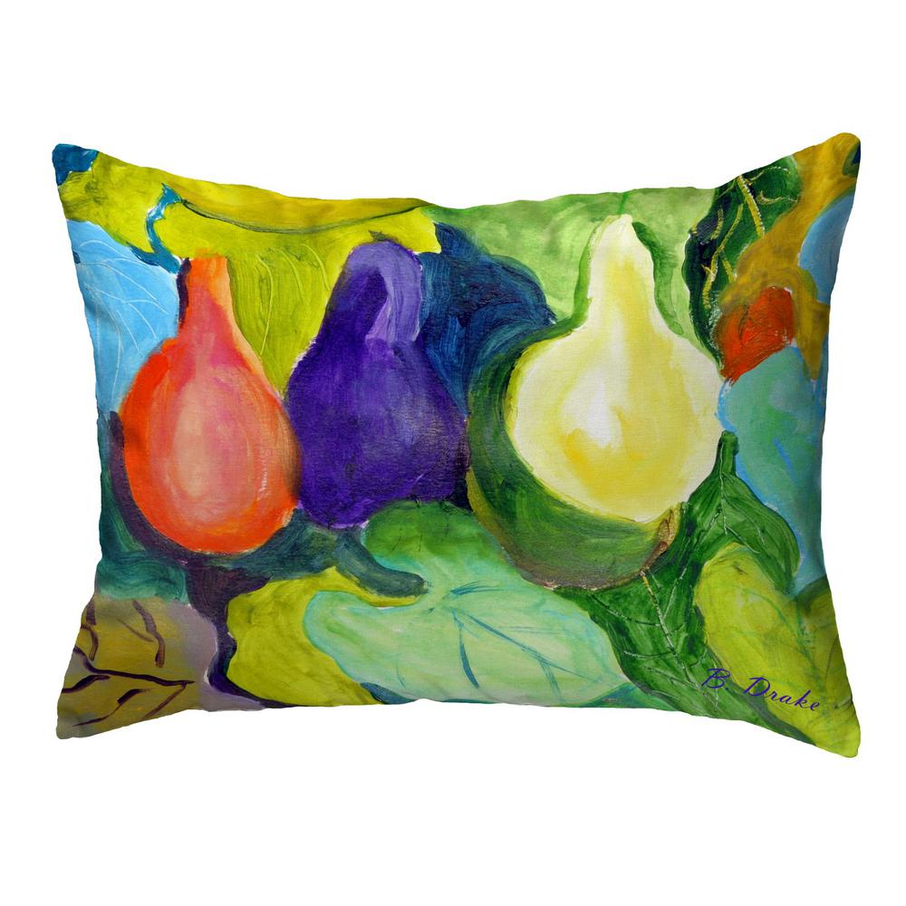 Gourds No Cord Pillow 16x20. Picture 1
