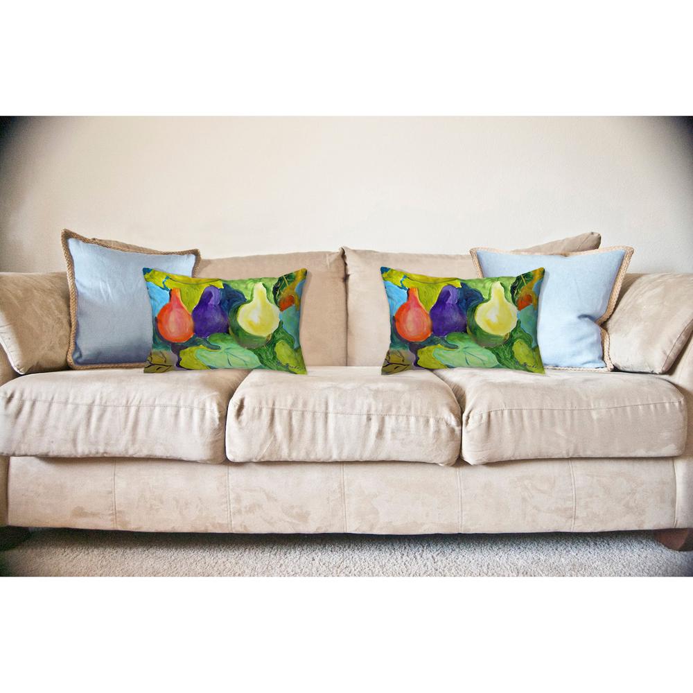 Gourds No Cord Pillow 16x20. Picture 2