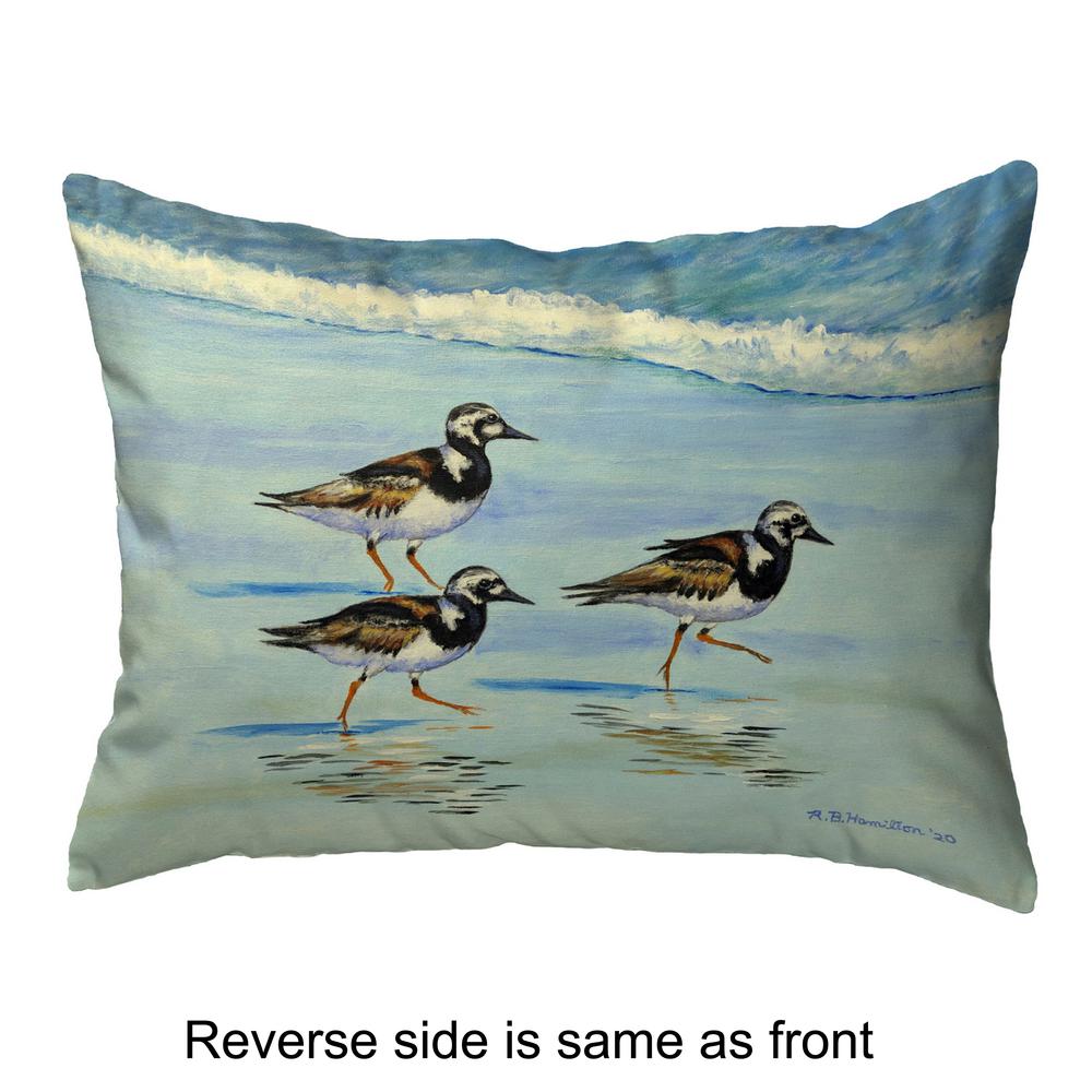 Ruddy Turnstones Large Noncorded Pillow 16x20. Picture 2