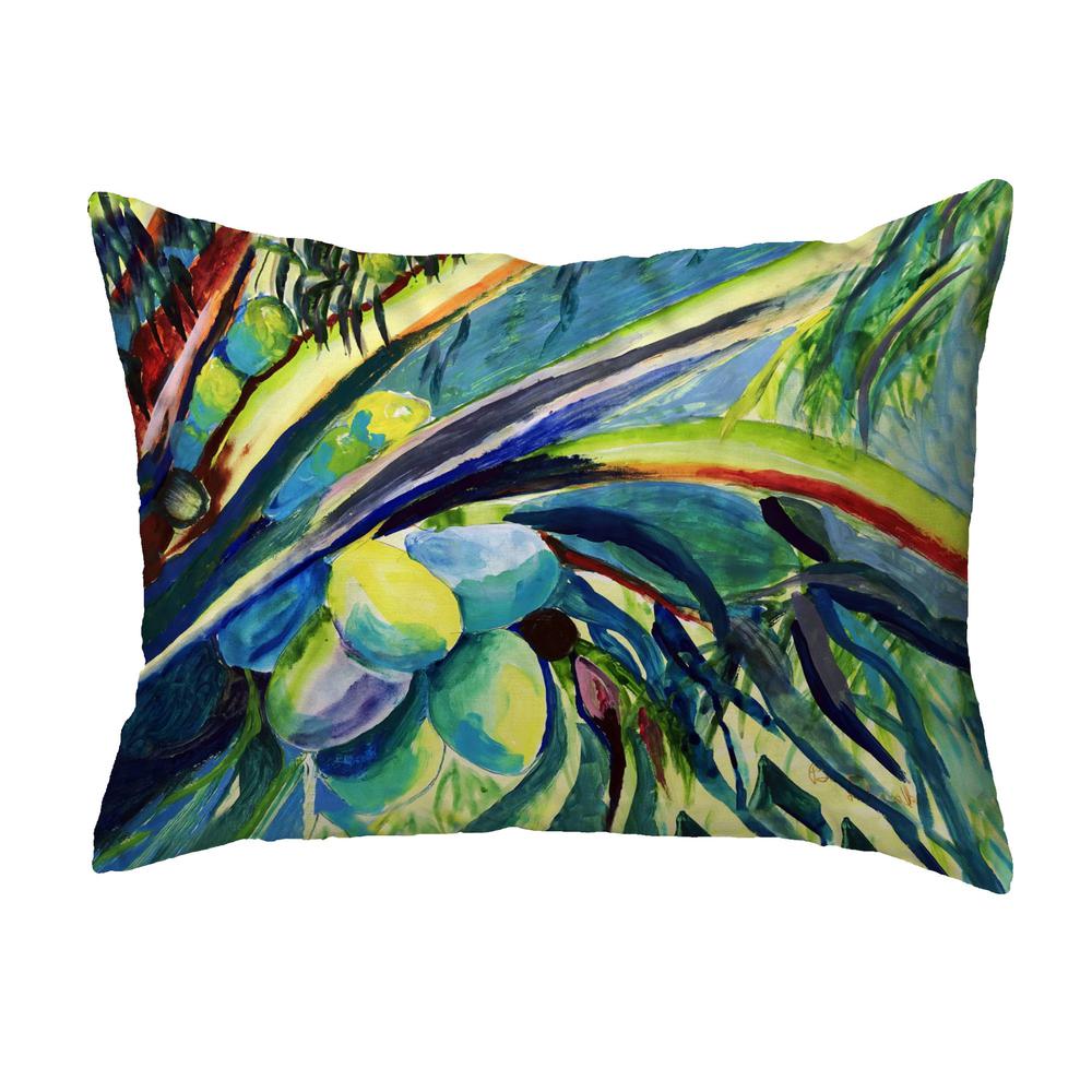 Cocoa Nuts III No Cord Pillow 16x20. Picture 1