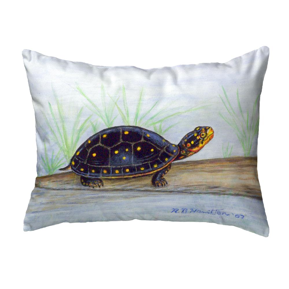 Spotted Turtle No Cord Pillow 16x20. Picture 1