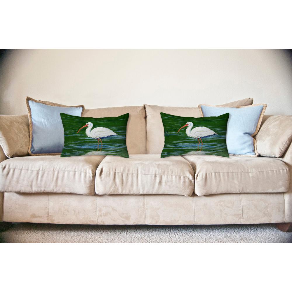 Dick's White Ibis No Cord Pillow 16x20. Picture 2