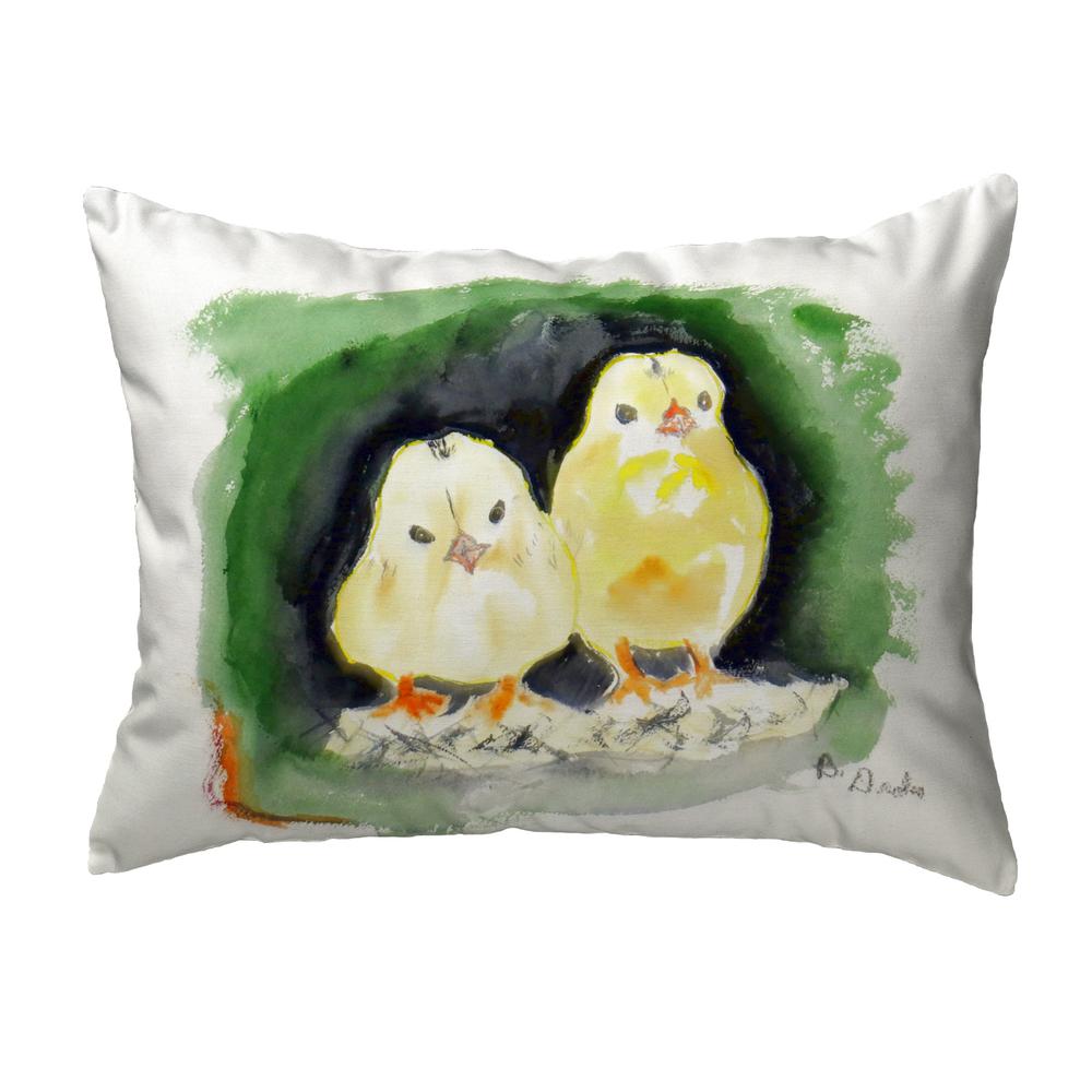 Chicks No Cord Pillow 16x20. Picture 1