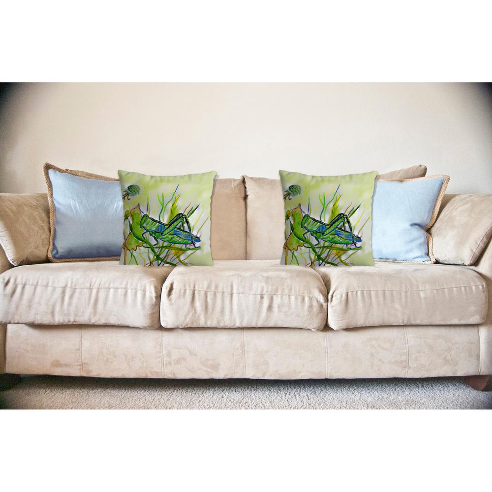 Grasshopper No Cord Pillow 18x18. Picture 2
