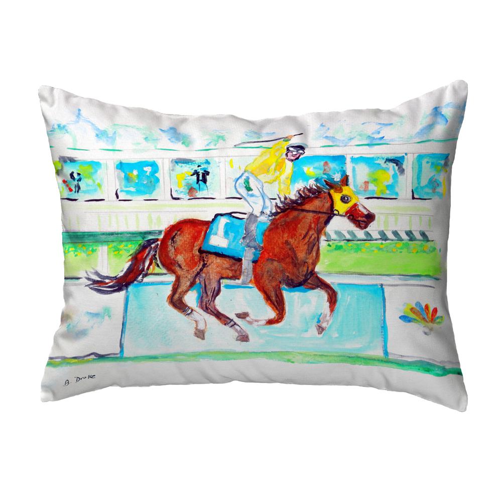 First Place No Cord Pillow 16x20. Picture 1