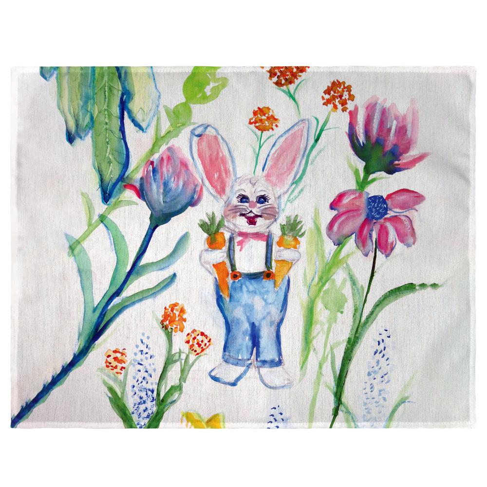 Mr. Farmer Rabbit Place Mat Set of 4. Picture 1