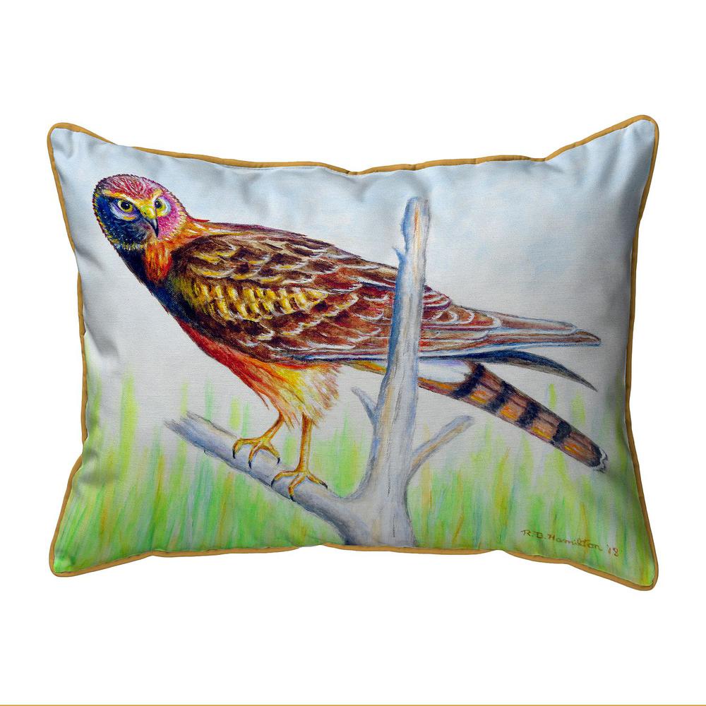 Marsh Hawk Small Indoor/Outdoor Pillow 11x14. Picture 1
