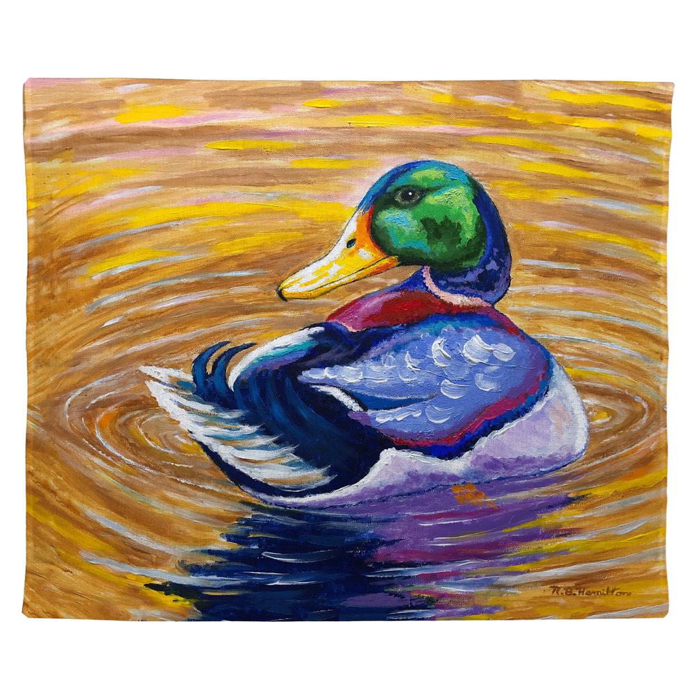 Duck Looking Outdoor Wall Hanging 24x30. Picture 1