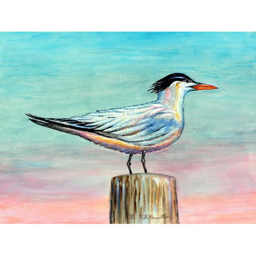 Royal Tern Outdoor Wall Hanging 24x30. Picture 1