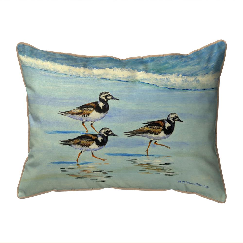 Ruddy Turnstones Extra Large Zippered Indoor/Outdoor Pillow 20x24. Picture 1