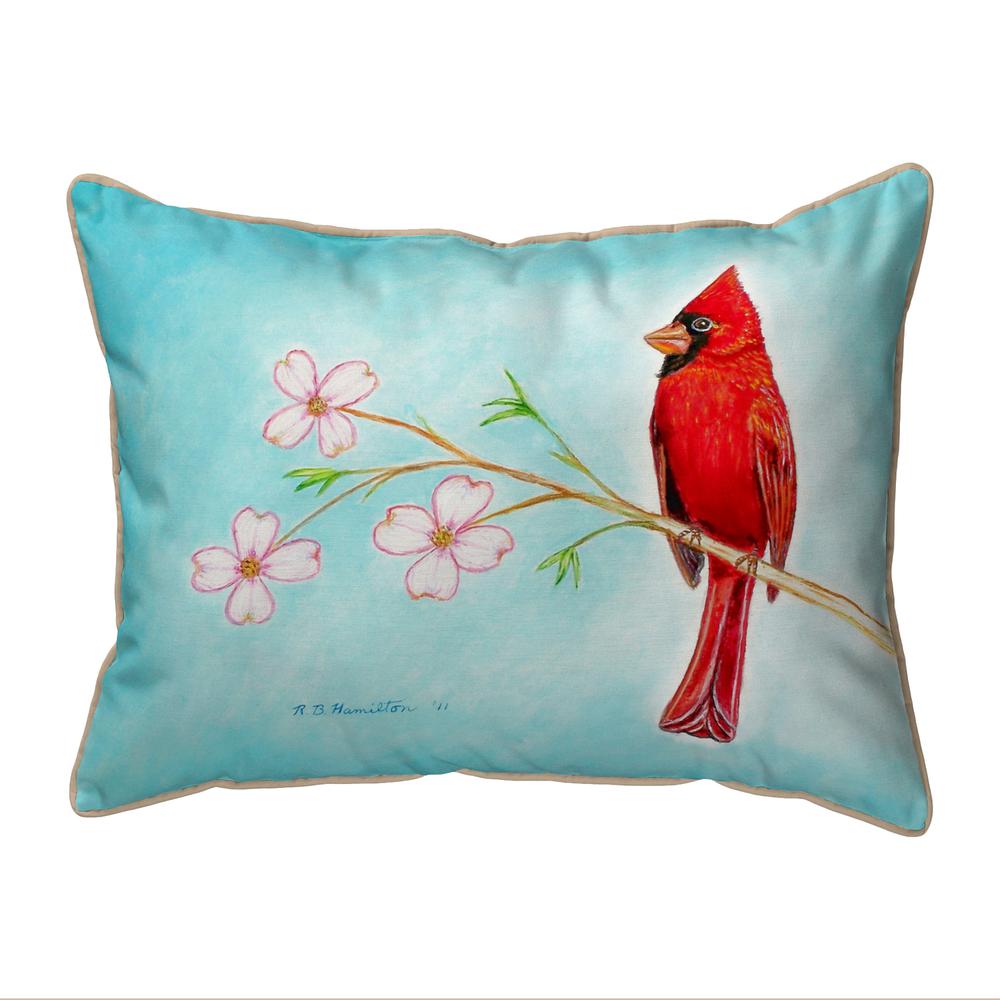 Dick's Cardinal Extra Large Zippered Pillow 20x24. Picture 1
