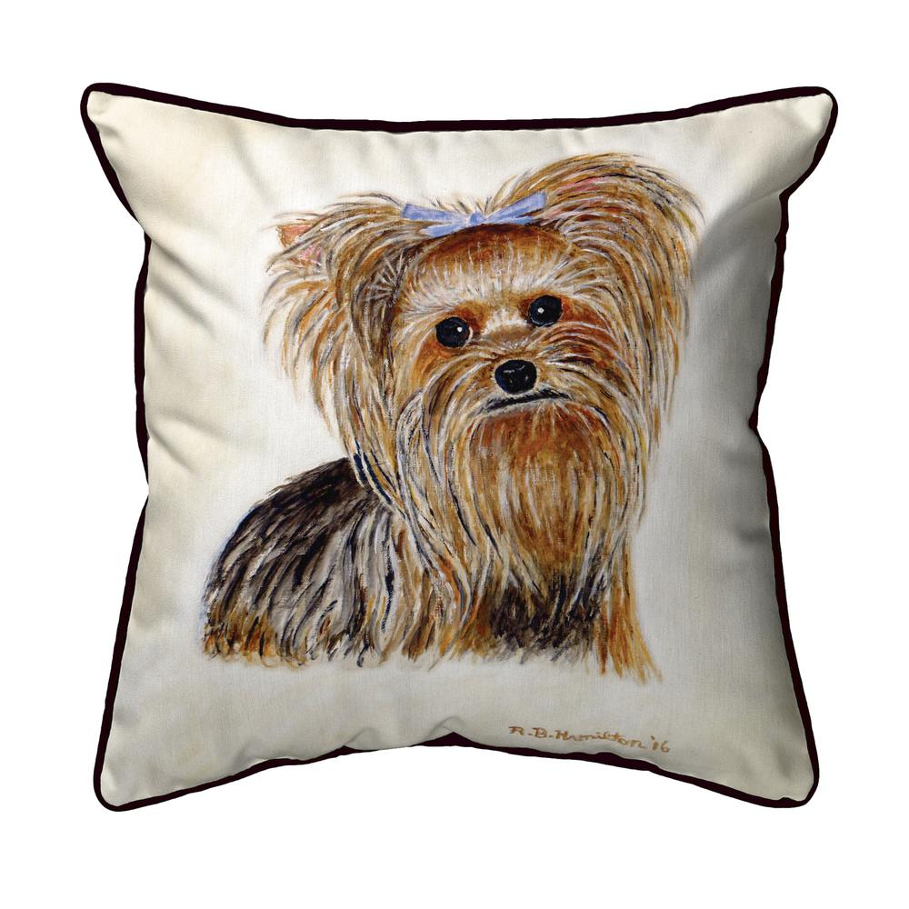 Gabby Extra Large Zippered Indoor/Outdoor Pillow 22x22. Picture 1