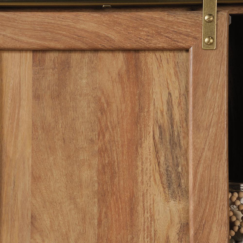 Coral Cape Storage Cabinet Sma. Picture 13