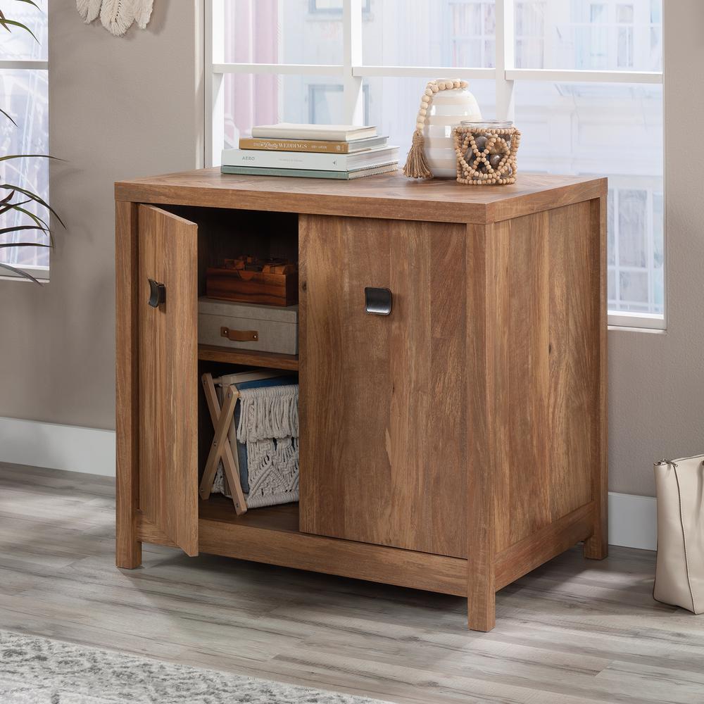 Cannery Bridge Commercial Office Cabinet, Sindoori Mango finish. Picture 11