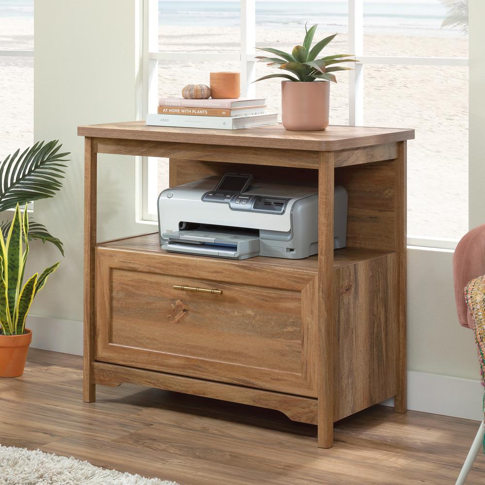 Coral Cape File Cabinet, Sindoori Mango finish. Picture 4
