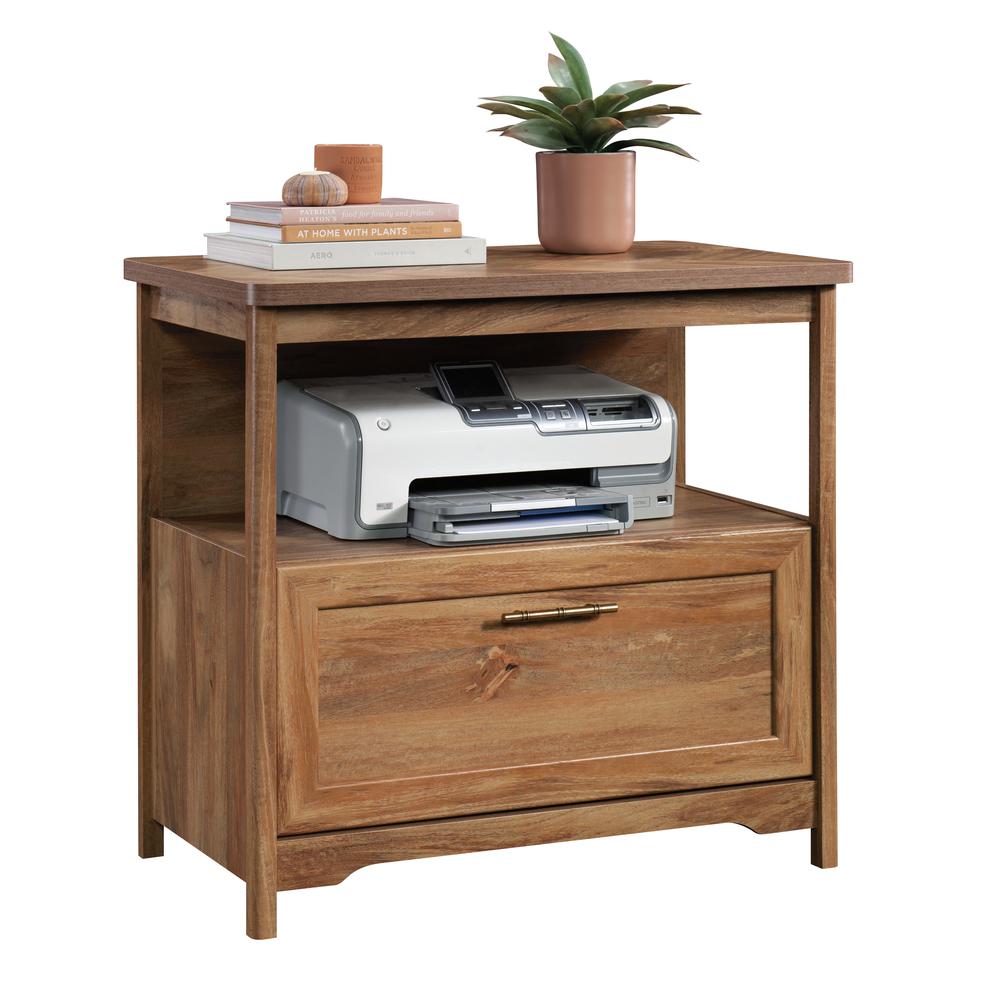 Coral Cape File Cabinet, Sindoori Mango finish. Picture 1
