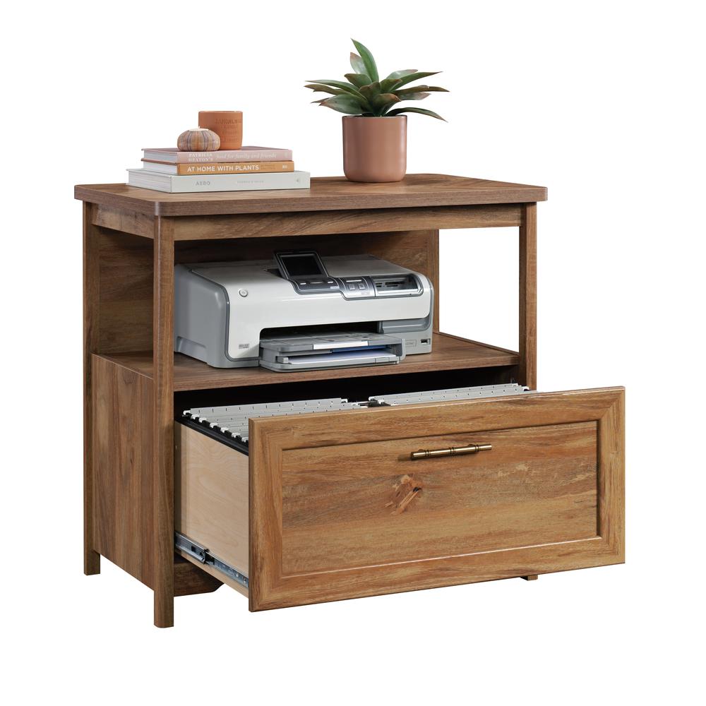 Coral Cape File Cabinet, Sindoori Mango finish. Picture 2