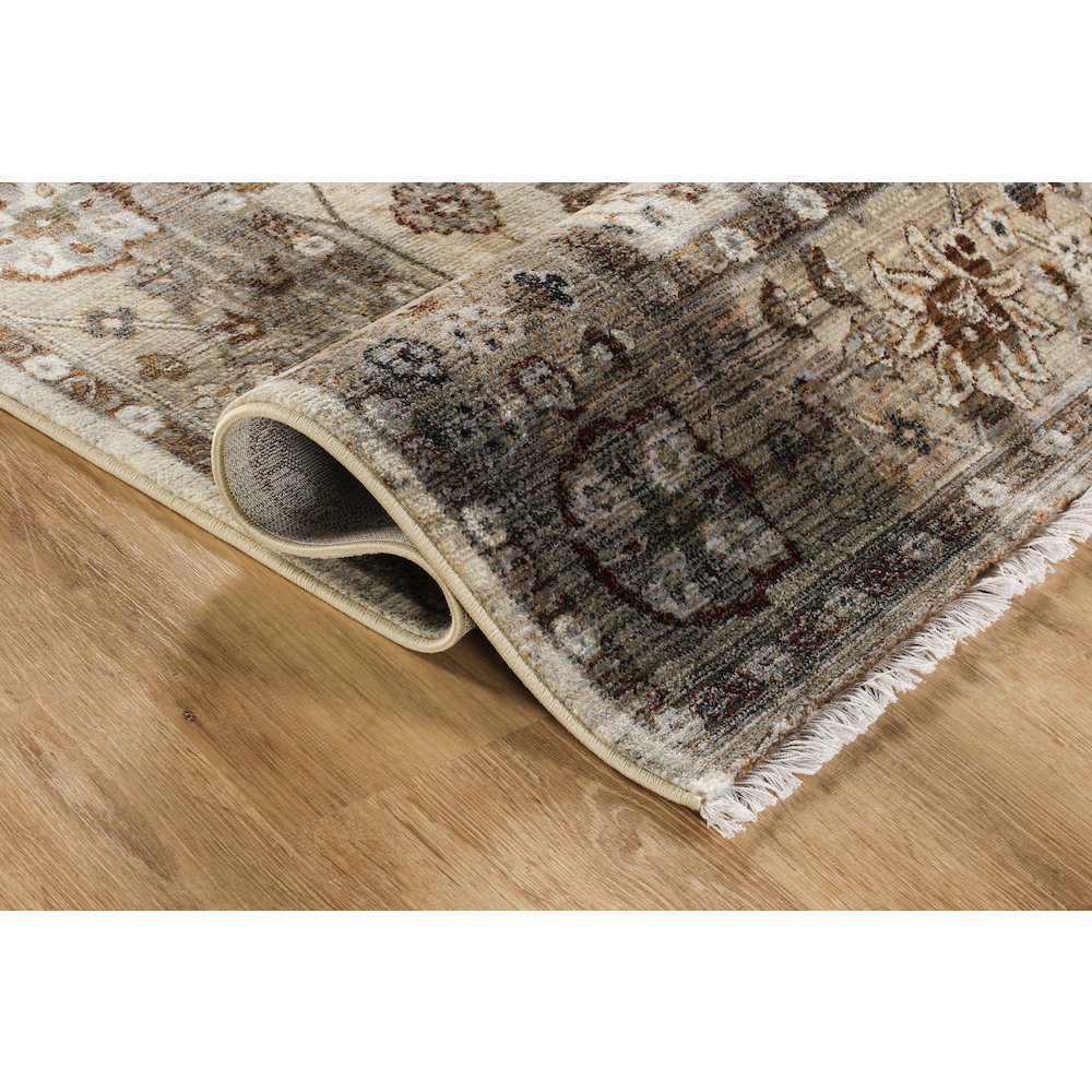 Ana 16 Traditional Floral Area Rug – Beige. Picture 4