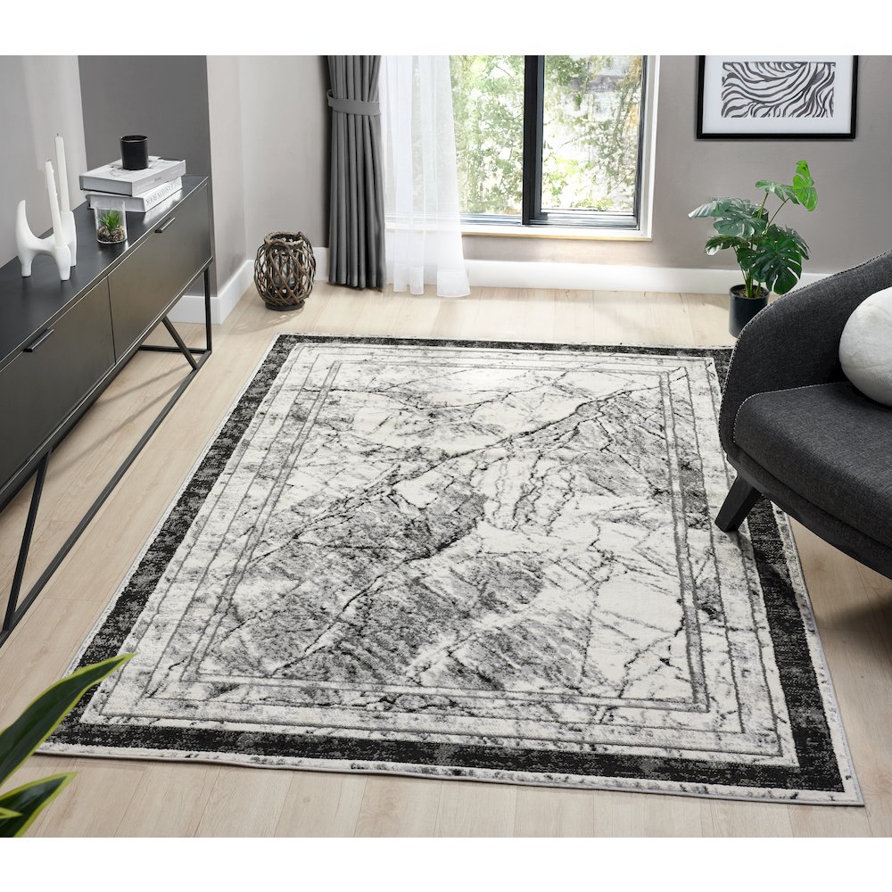 Atlas 14 Framed Marble Gray & Ivory Area Rug. Picture 2