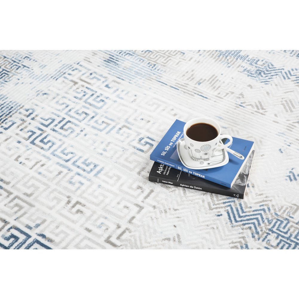 TRENDY COLLECTION  TRD14  7'10" X 10'6". Picture 4
