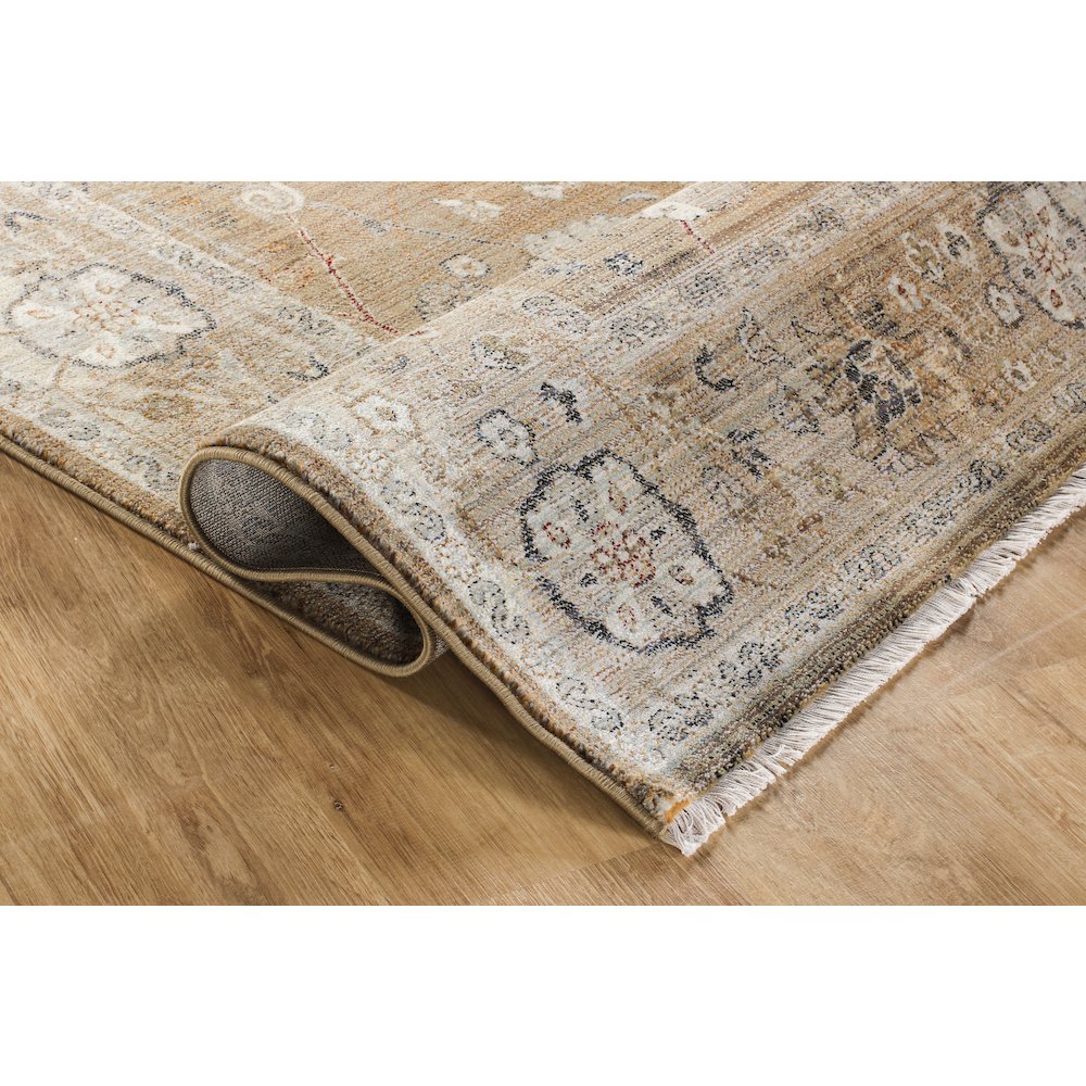 Ana 14 Distressed Vintage Area Rug – Brown. Picture 4