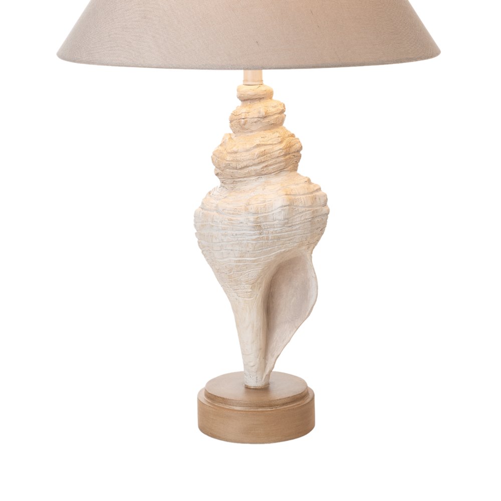 Conch - 30" Seashell Coastal Table Lamp - Set of 2 - Natural. Picture 4