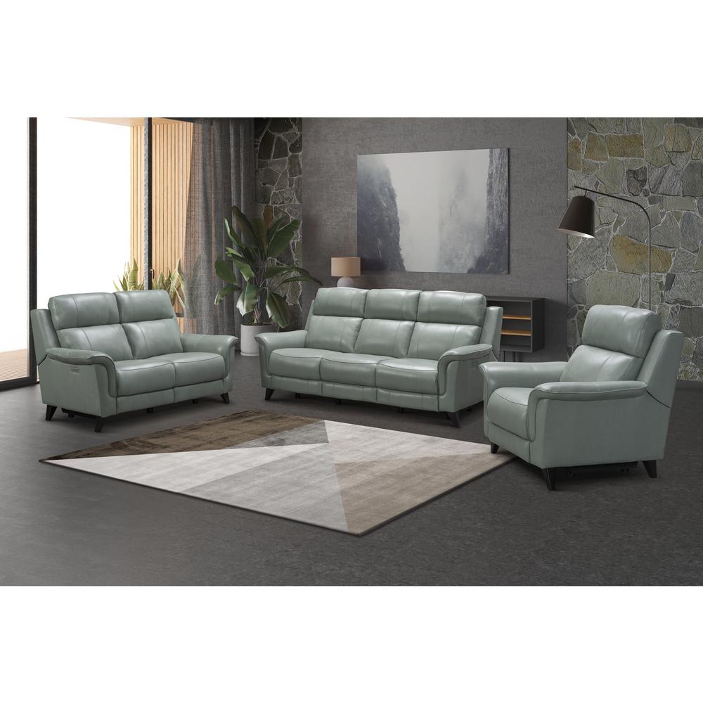 Kester Power Recliner w/Power Head Rest. Picture 13