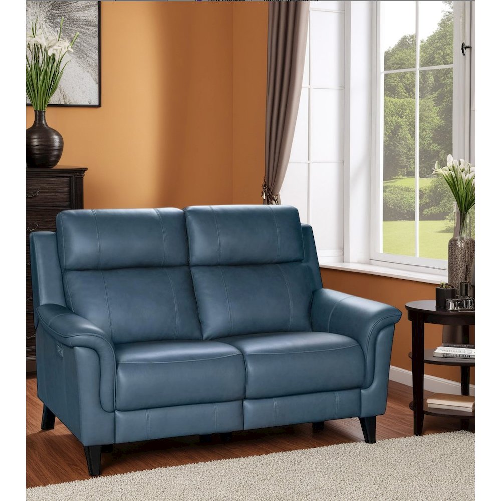 Gray Leather Power Reclining Loveseat with Hardwood Plywood Frame. Picture 5