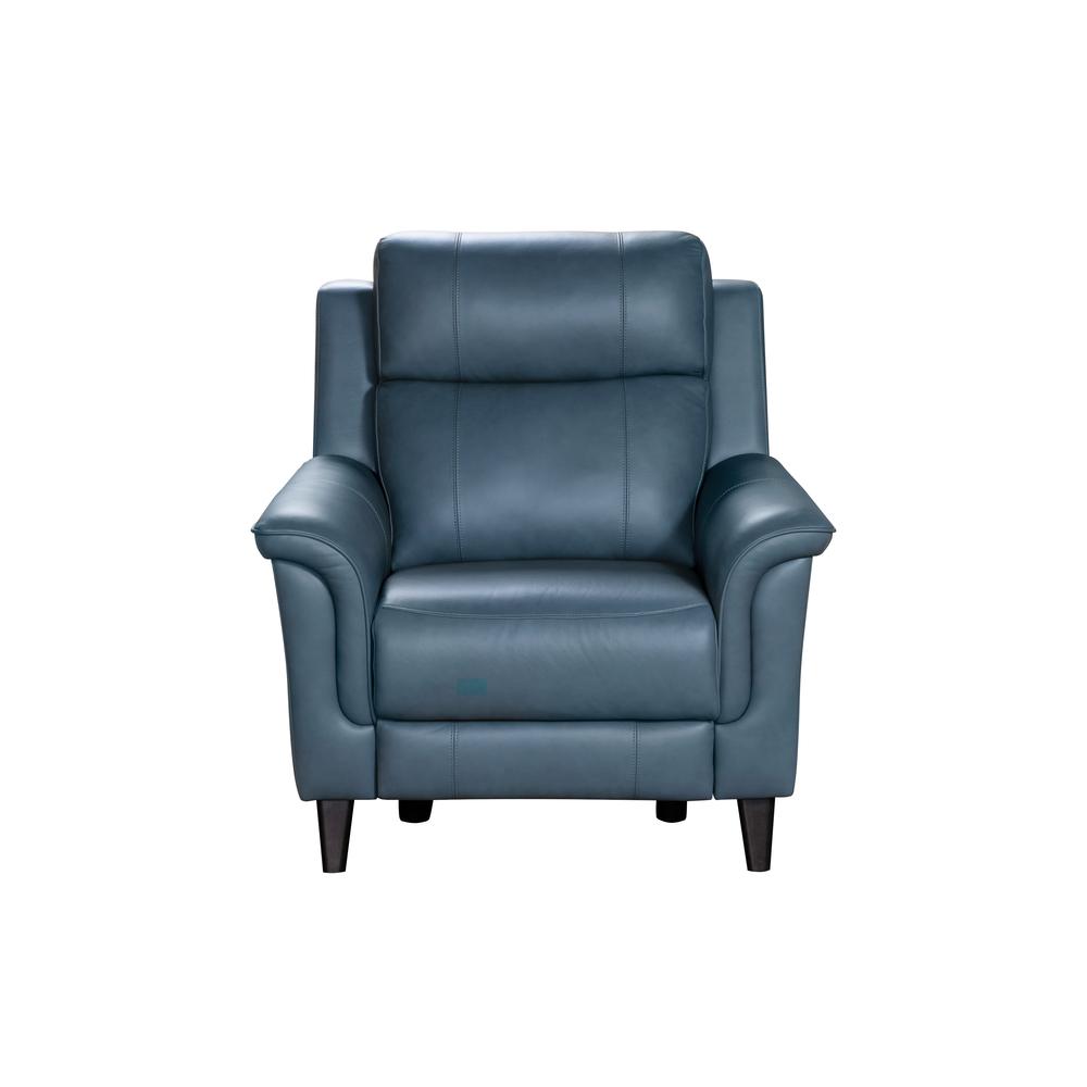 Kester Power Recliner w/Power Head Rest. Picture 4