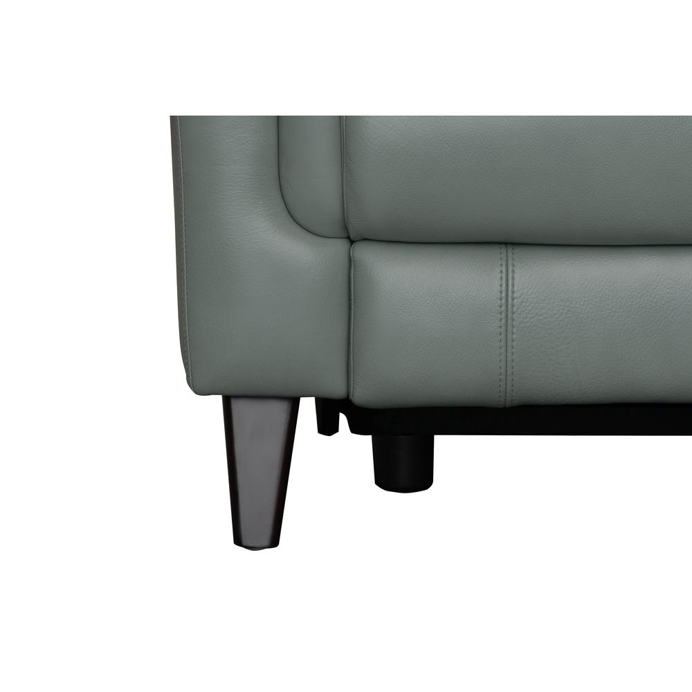 Kester Power Recliner w/Power Head Rest. Picture 2