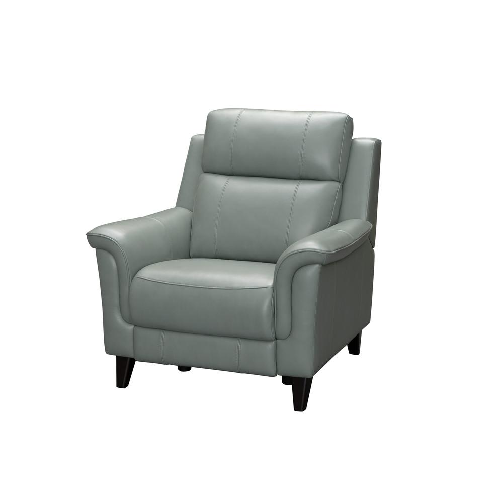 Kester Power Recliner w/Power Head Rest. Picture 4