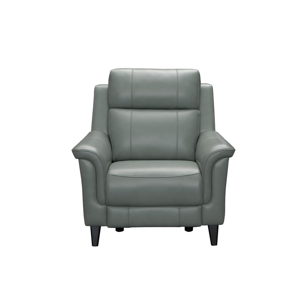 Kester Power Recliner w/Power Head Rest. Picture 5
