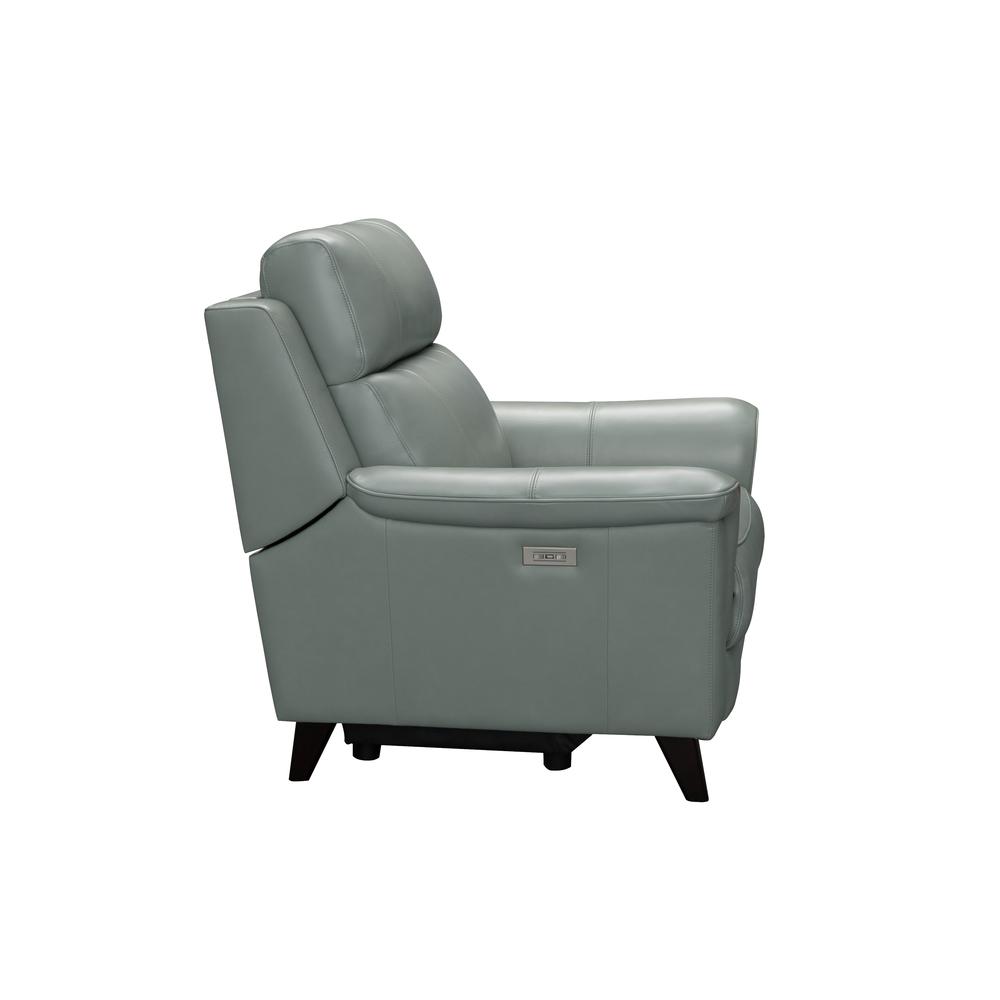 Kester Power Recliner w/Power Head Rest. Picture 10
