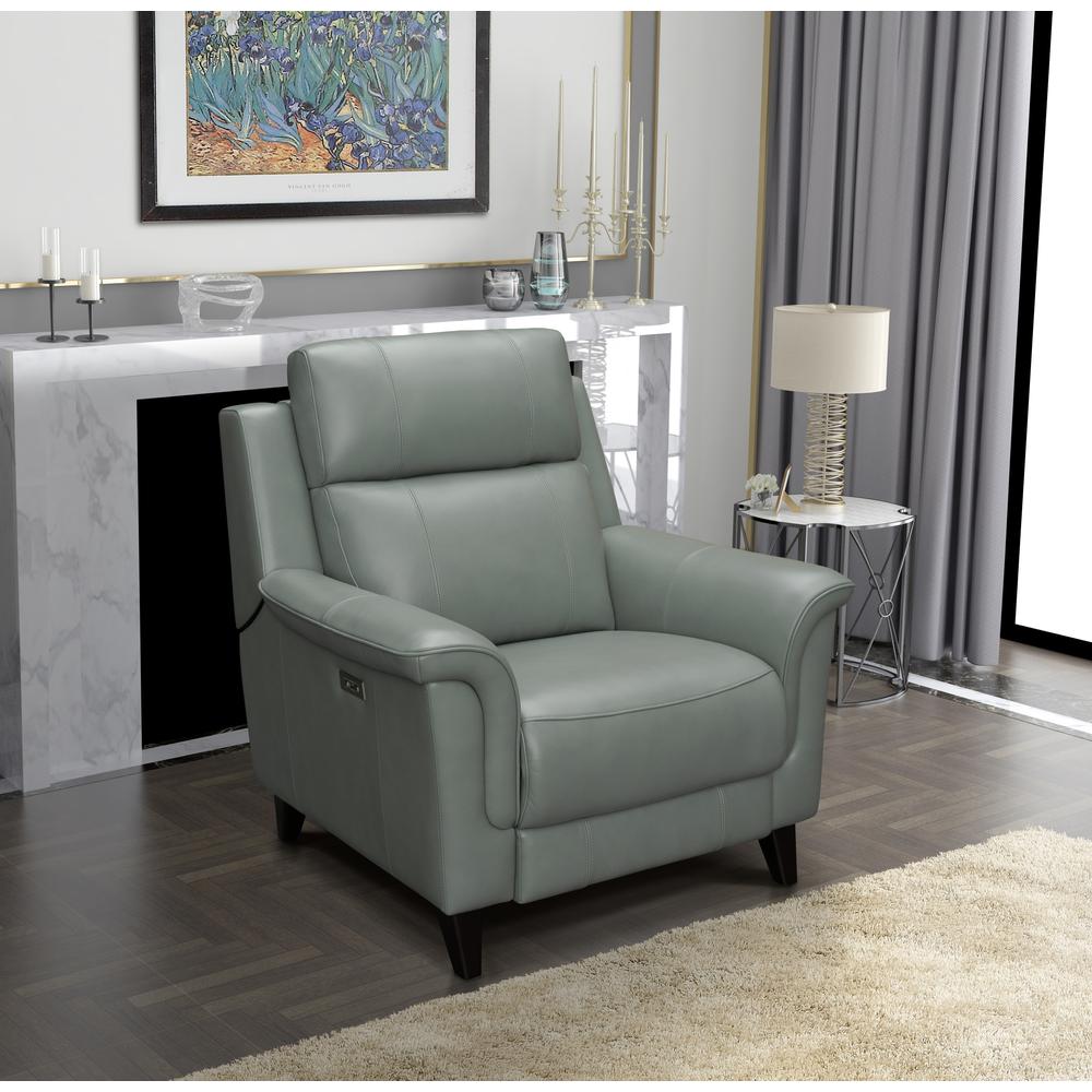 Kester Power Recliner w/Power Head Rest. Picture 12