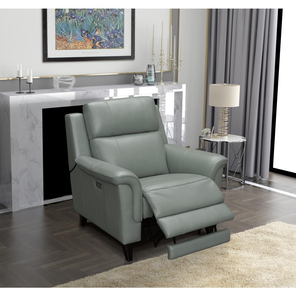 Kester Power Recliner w/Power Head Rest. Picture 11