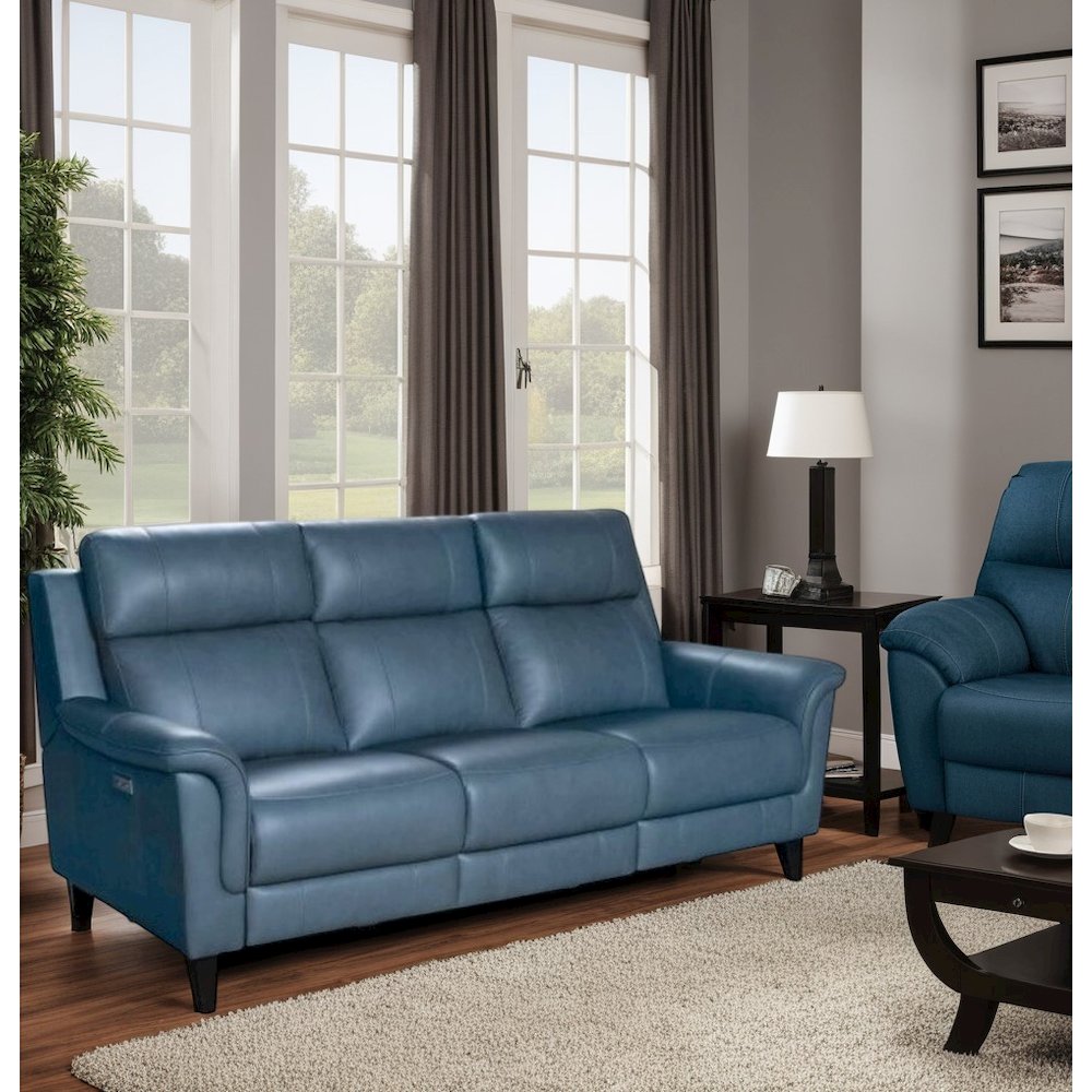 Blue Leather Power Reclining Sofa with Power Headrests and Hardwood Frame. Picture 5