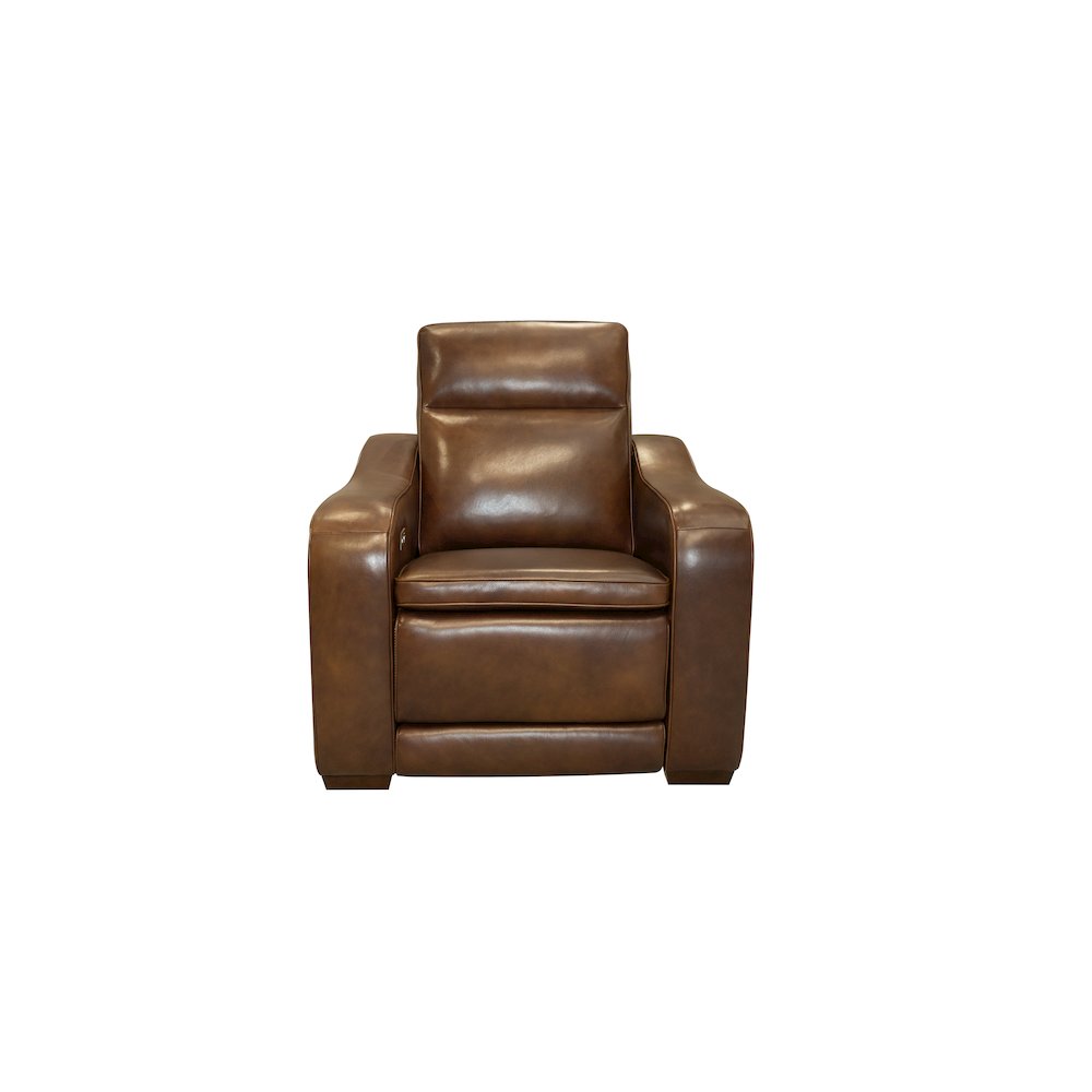 Grady Power Recliner Power Head Rest & Power Lumbar. Picture 3