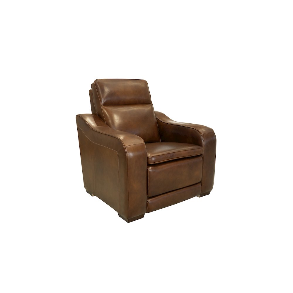 Grady Power Recliner Power Head Rest & Power Lumbar. Picture 1