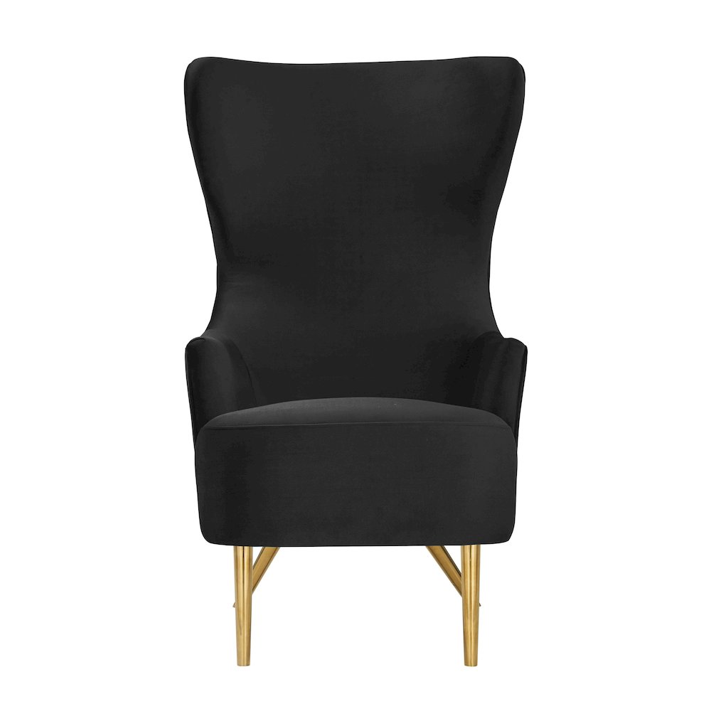 Julia Black Velvet Wingback Chair. Picture 3