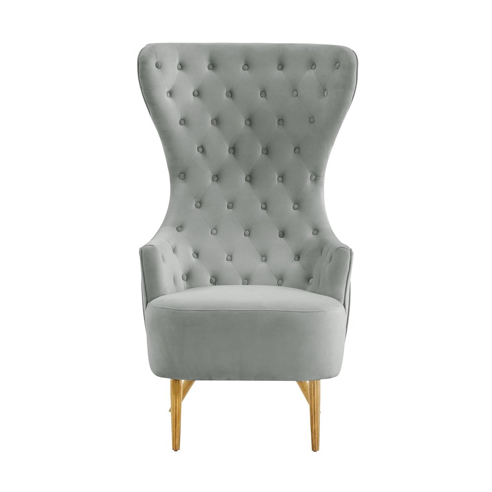 Jezebel Grey Velvet Wingback Chair. Picture 3