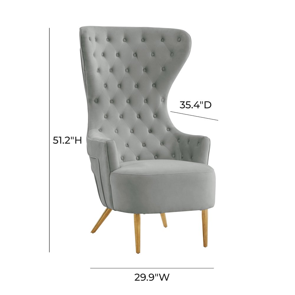 Jezebel Grey Velvet Wingback Chair. Picture 6