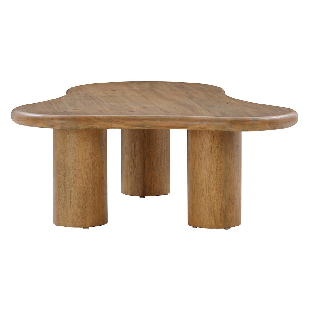 Gotham Cognac Coffee Table. Picture 5