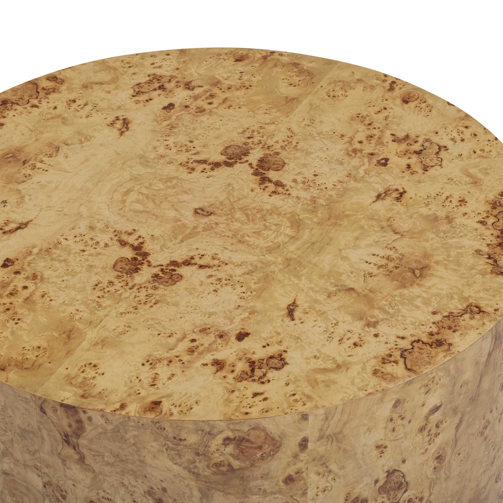 Fig Natural Burl Drum Coffee Table. Picture 6