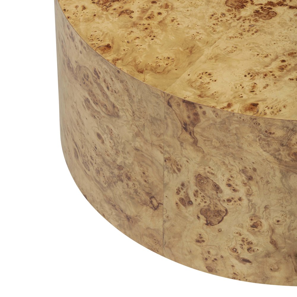 Fig Natural Burl Drum Coffee Table. Picture 7