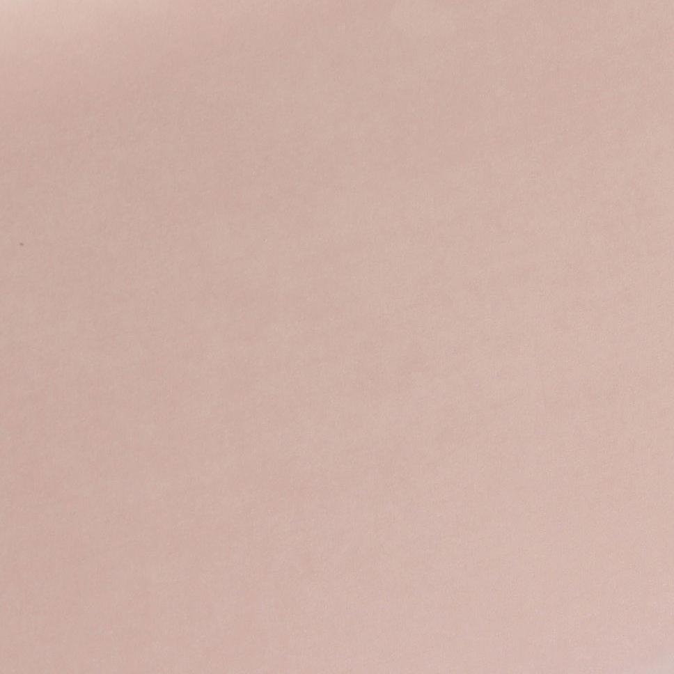 Ziva Blush Velvet Storage Bench. Picture 5