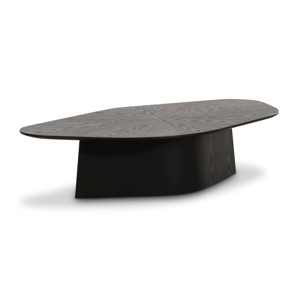 Roche Black Ash Low Coffee Table. Picture 1